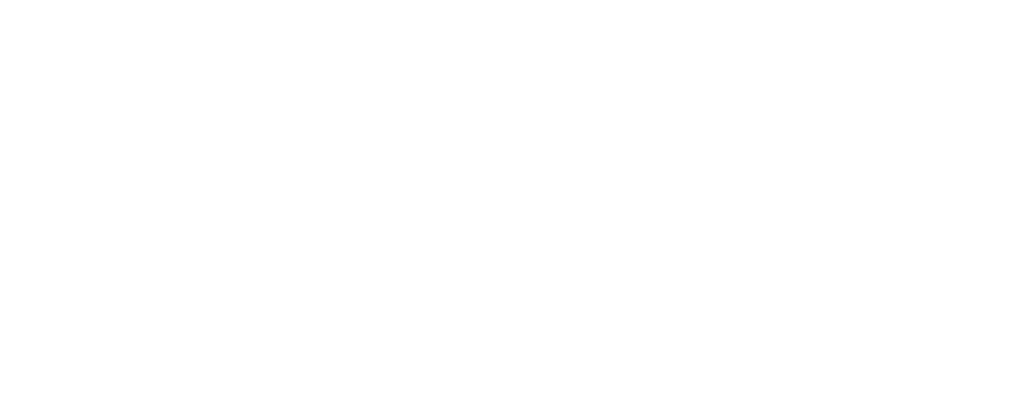 Wij lopen voor CADASIL
